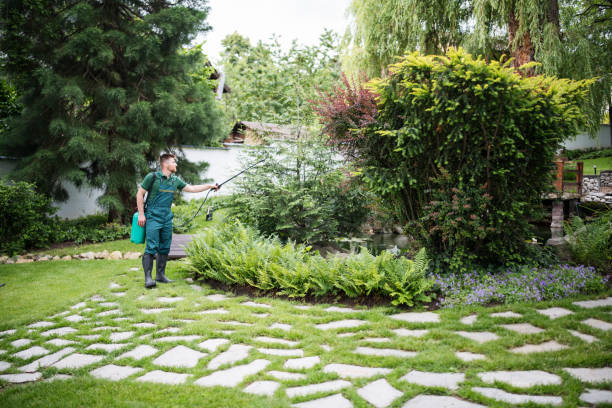 Best Tree Cabling and Bracing  in Gretna, VA