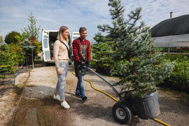 Best Lawn Irrigation Installation and Maintenance  in Gretna, VA
